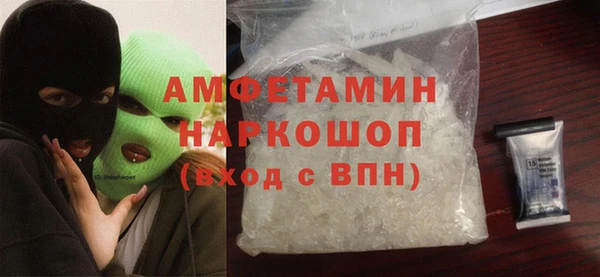прущие грибы Беломорск