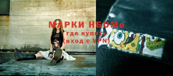 прущие грибы Беломорск