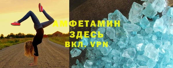 прущие грибы Беломорск