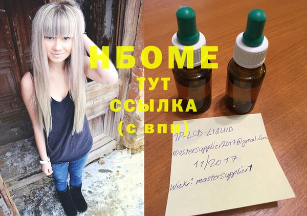 прущие грибы Беломорск
